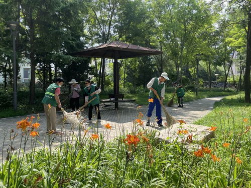 寿光园林建设集团 夏季绿化养管修出精致城市风景线